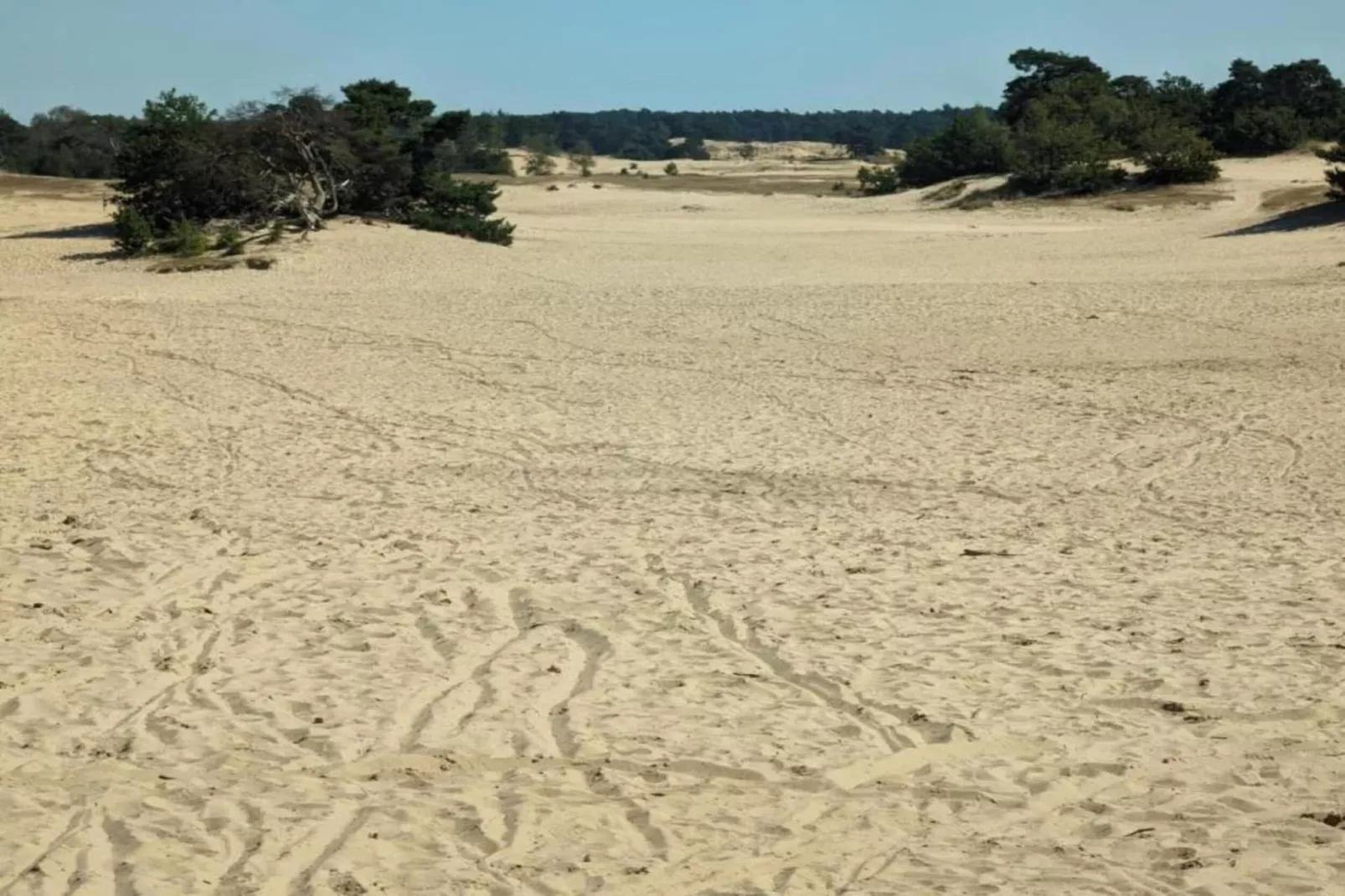 't Voortsche Boshuys-Gebieden zomer 20km