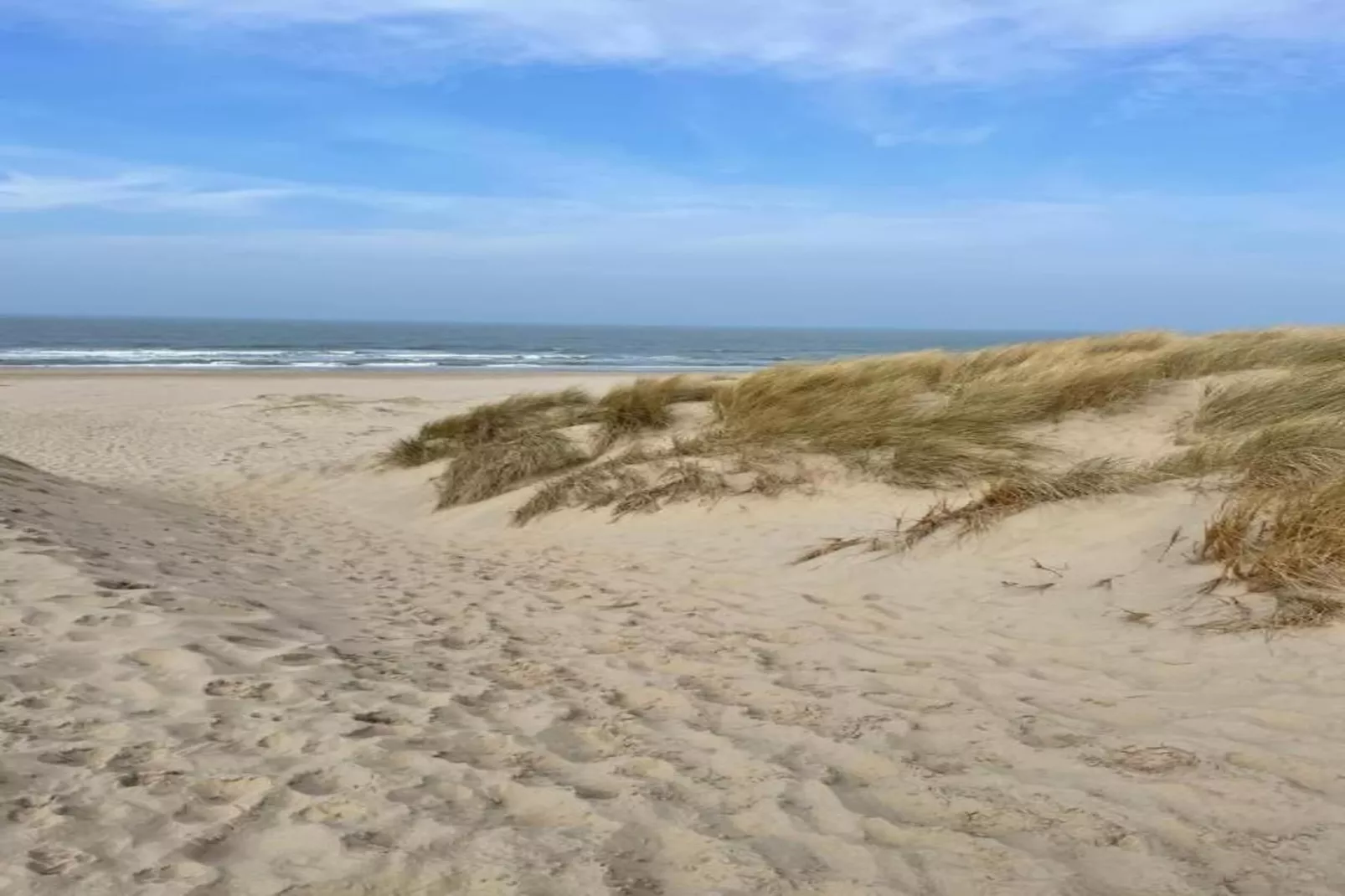 Boshof-Gebieden zomer 20km