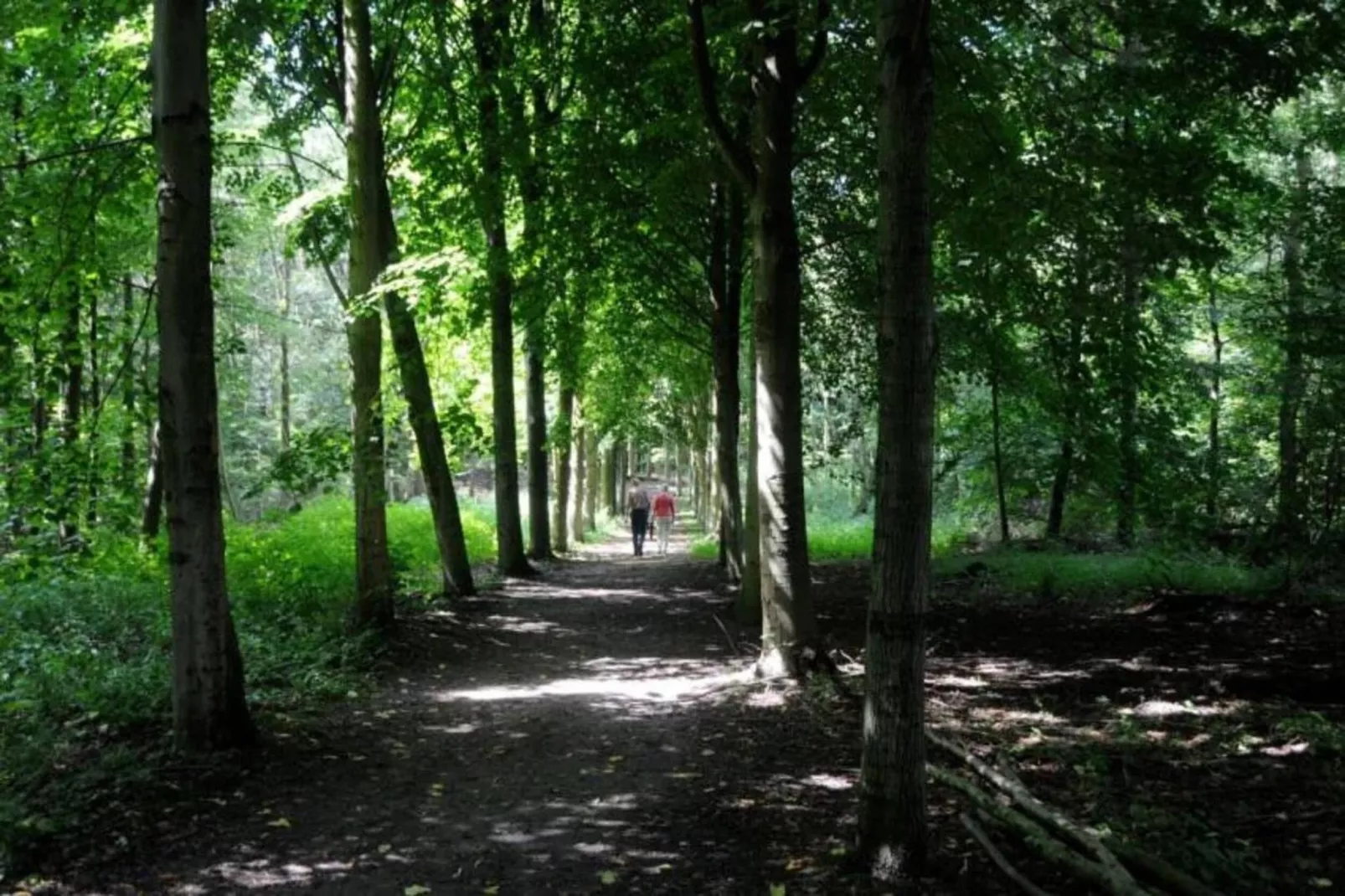 Barok Harderwijk 325-Gebieden zomer 20km