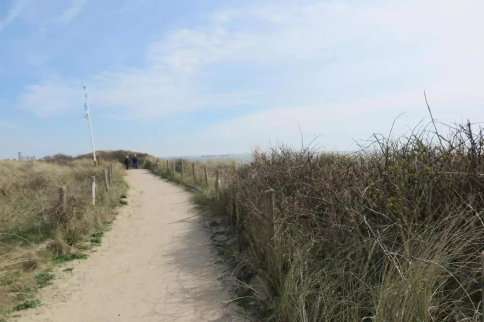 Noordzee Résidence Dishoek 11-Gebieden zomer 5km