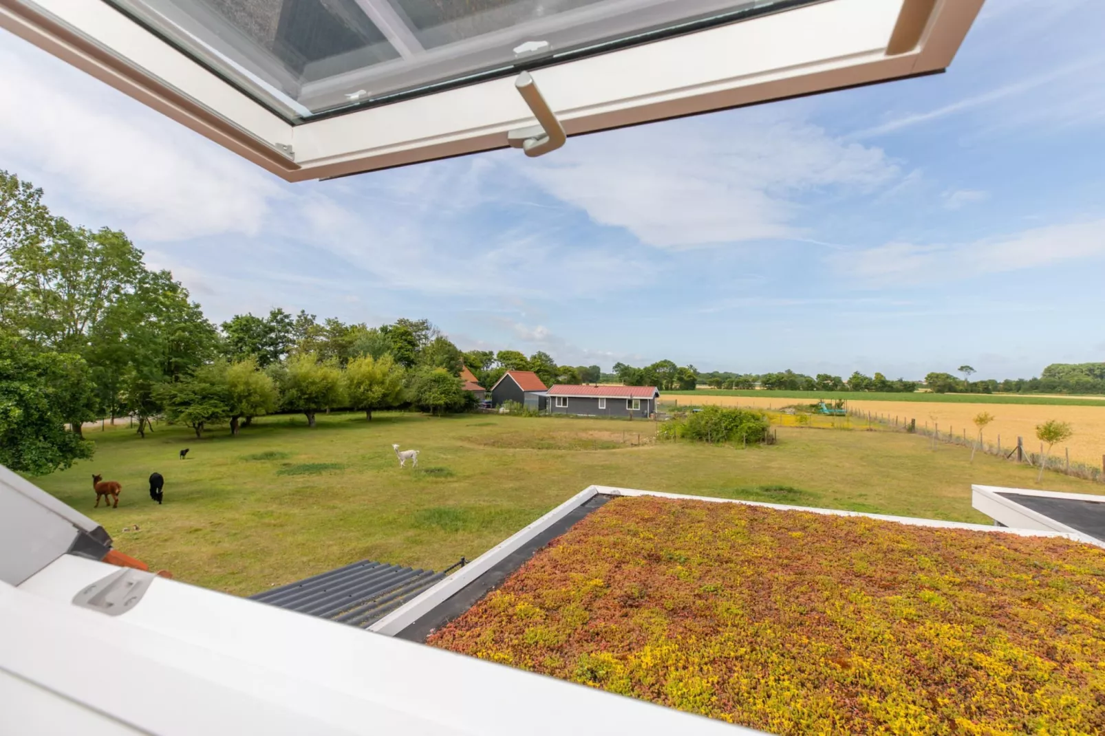 Vakantiehuis Groeneweg 3 'Jikkemien-Uitzicht zomer