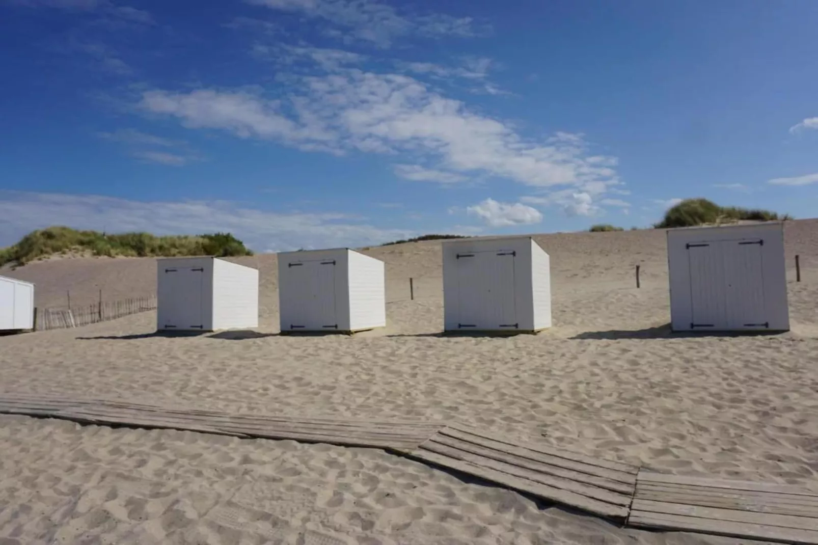 Cardium 33-Gebieden zomer 20km