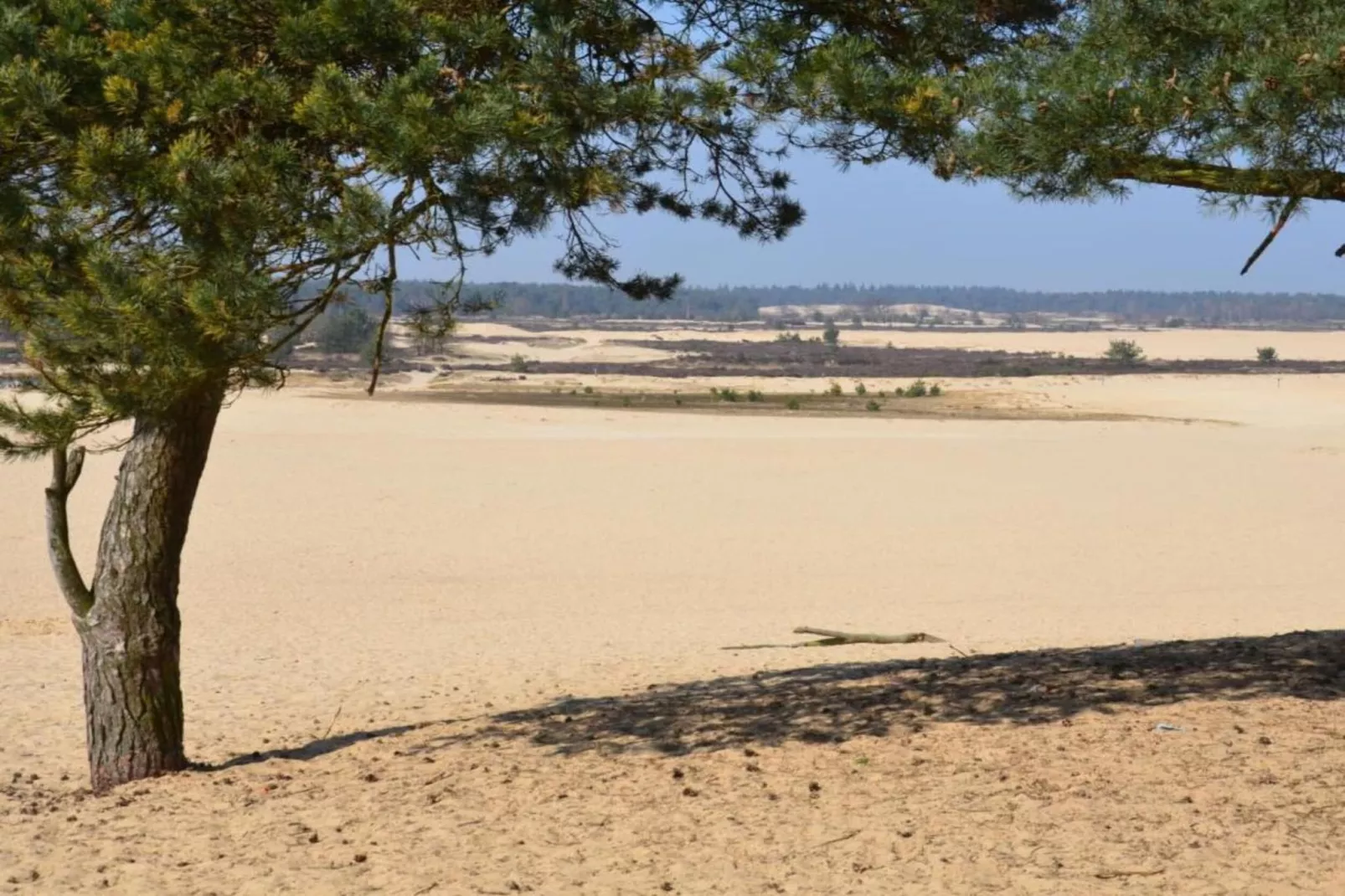 Recreatiepark Duinhoeve 1-Gebieden zomer 20km