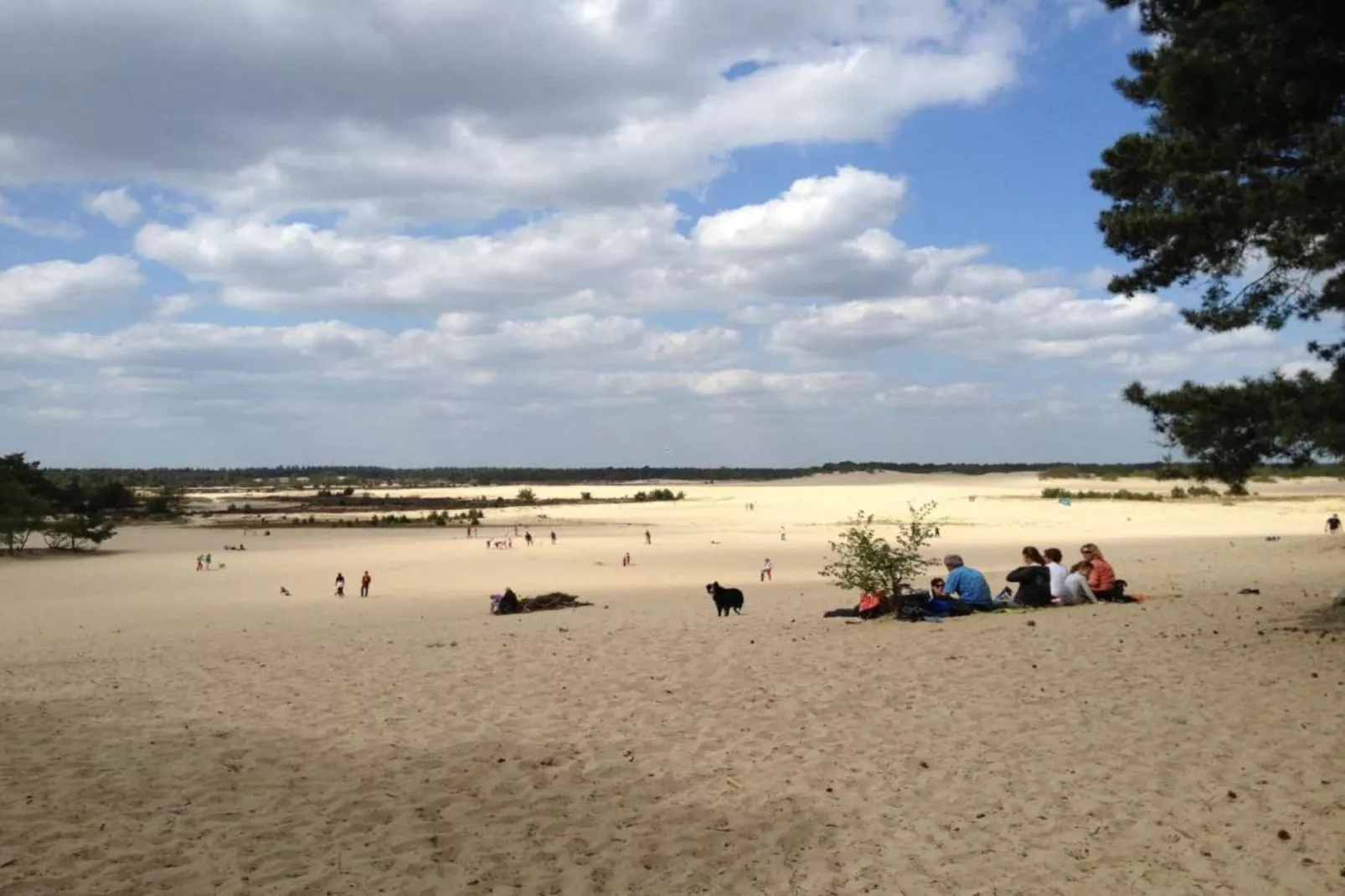 Recreatiepark Duinhoeve 5-Gebieden zomer 20km
