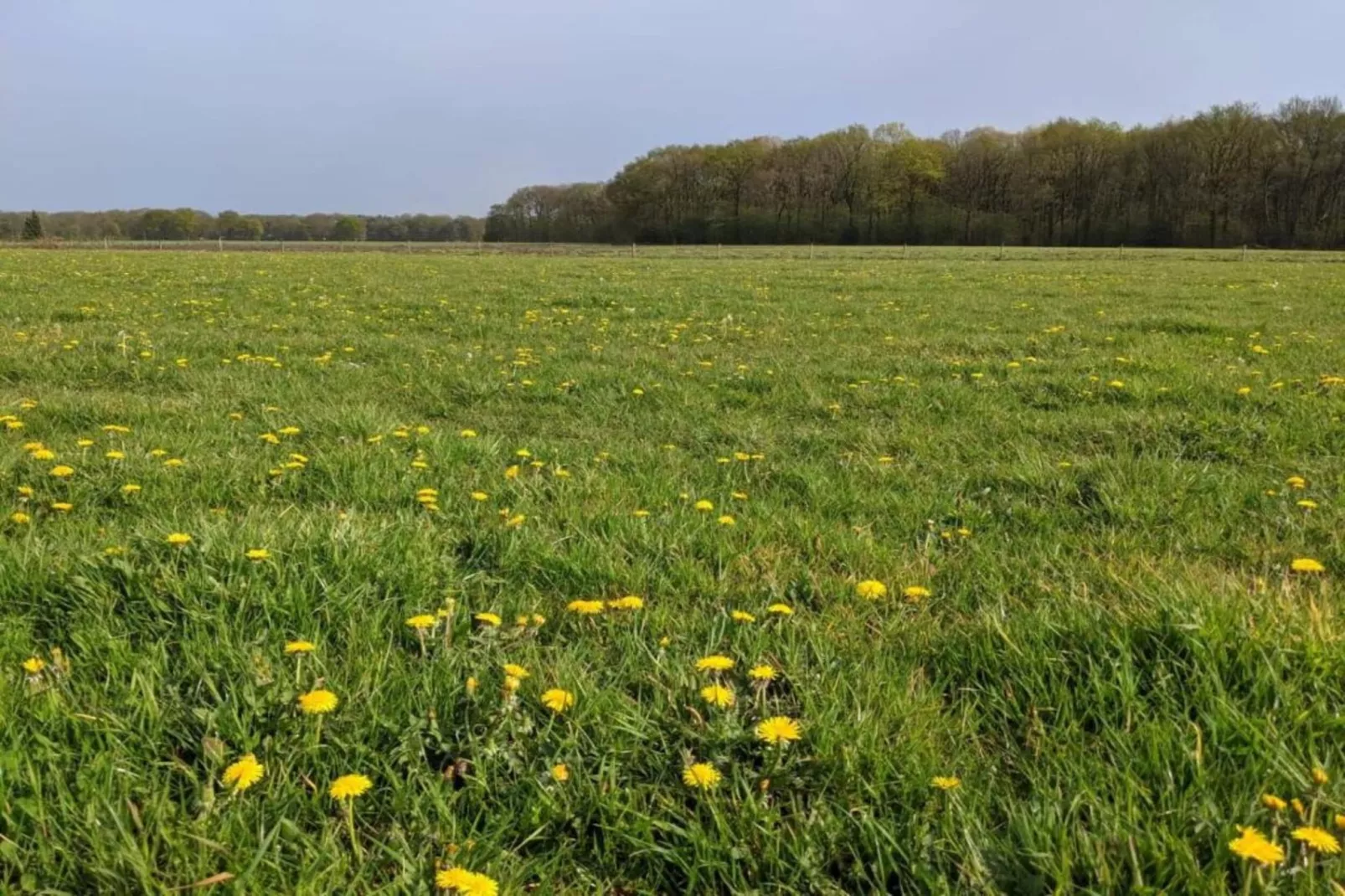 Parc de Kievit 6-Gebieden zomer 20km