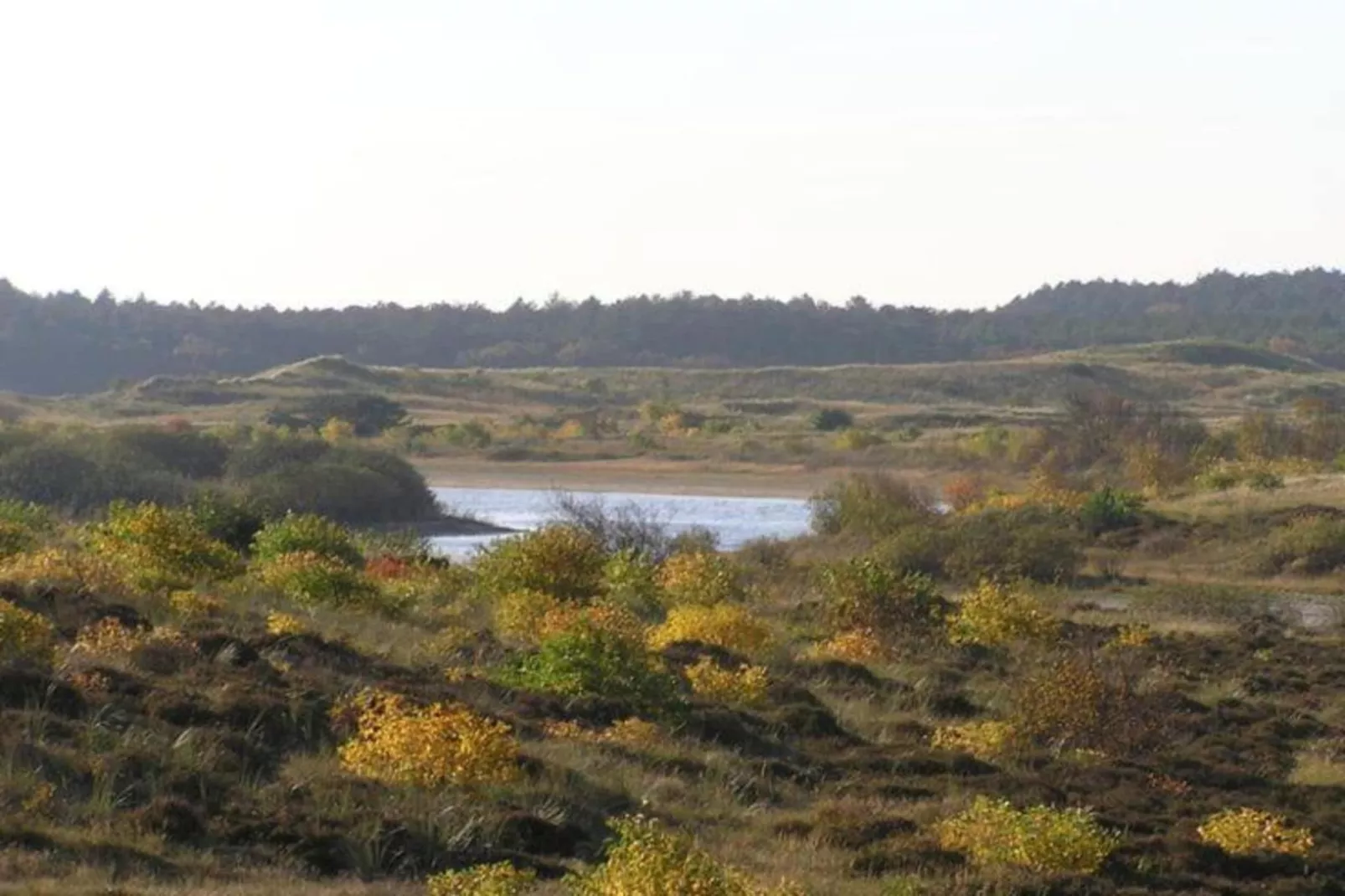 Wilca Hoeve-Gebieden zomer 20km