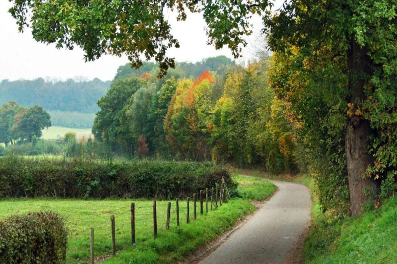 Dorpswoning Op Niveau-Gebieden zomer 20km