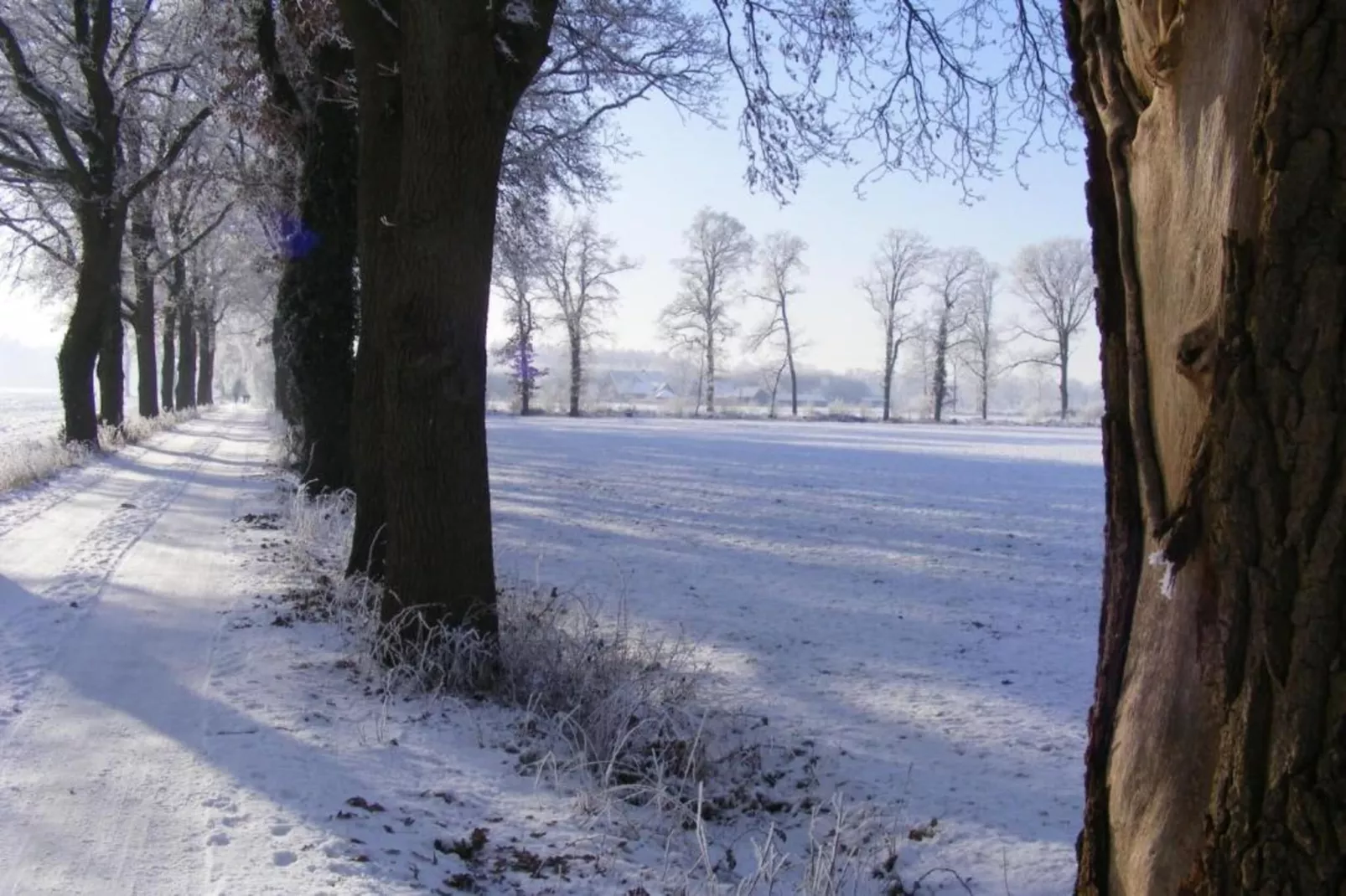 Huus in 't Hagt-Gebied winter 20km