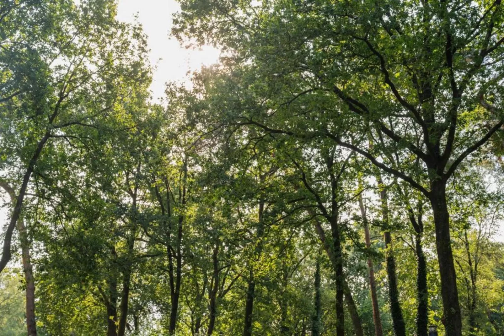 Bungalowpark Hoenderloo 3-Gebieden zomer 20km