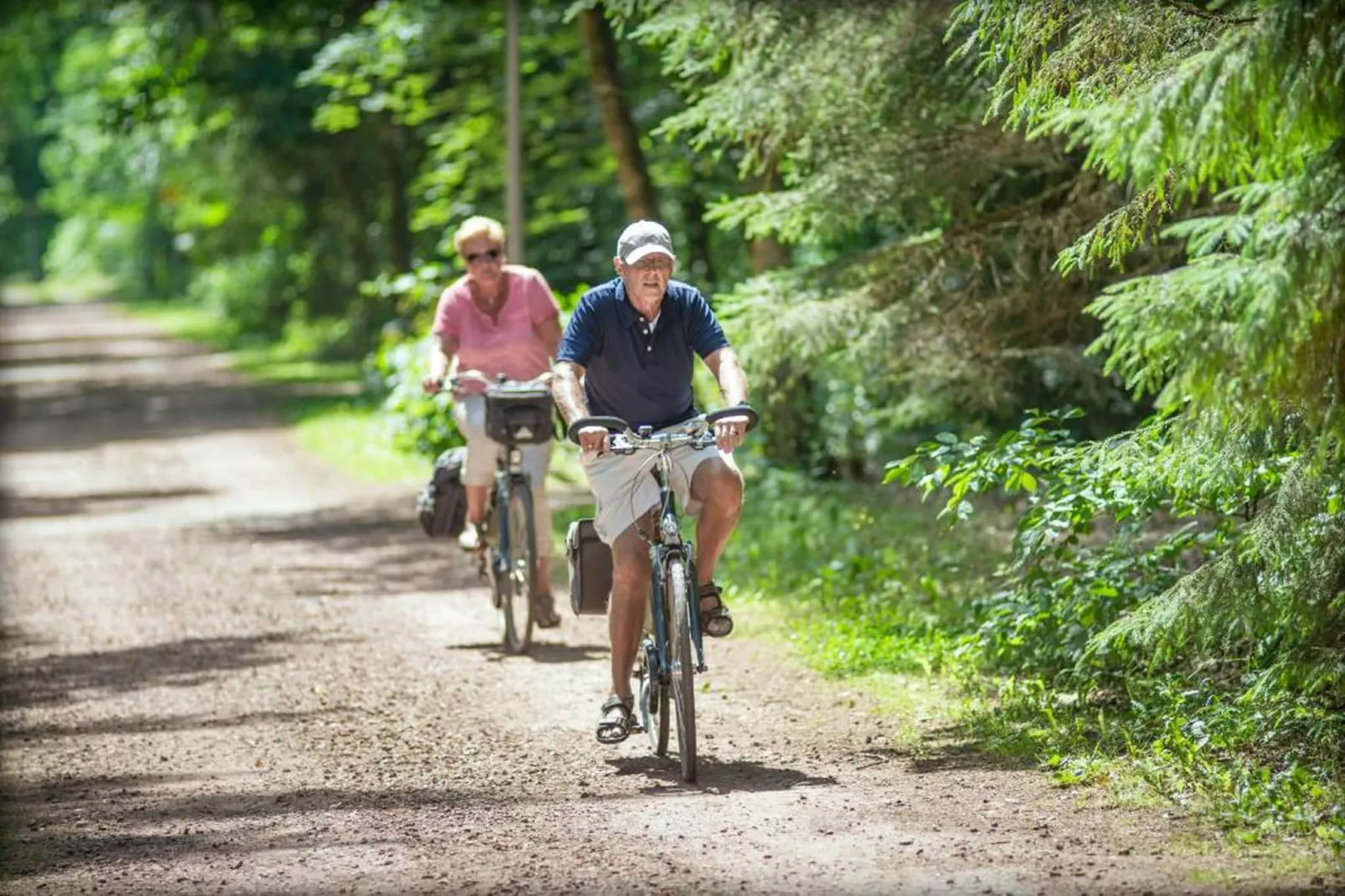 RCN Vakantiepark de Roggeberg 4-Gebieden zomer 20km
