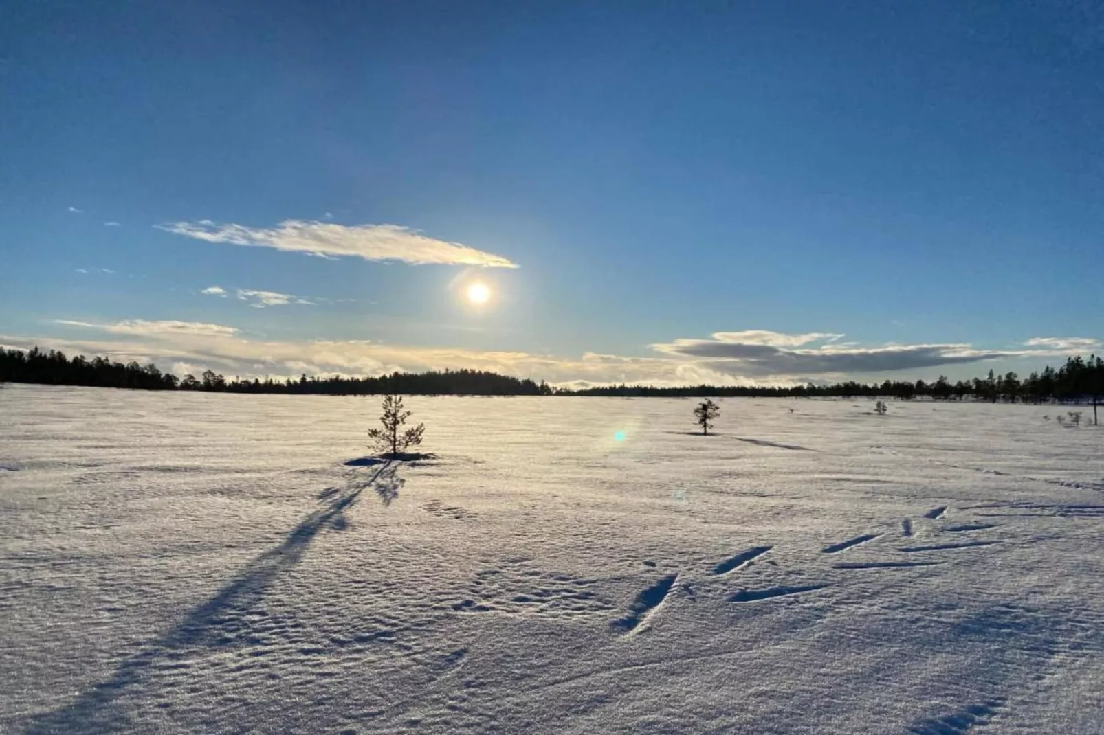 Letafors Herrgård-Gebied winter 20km