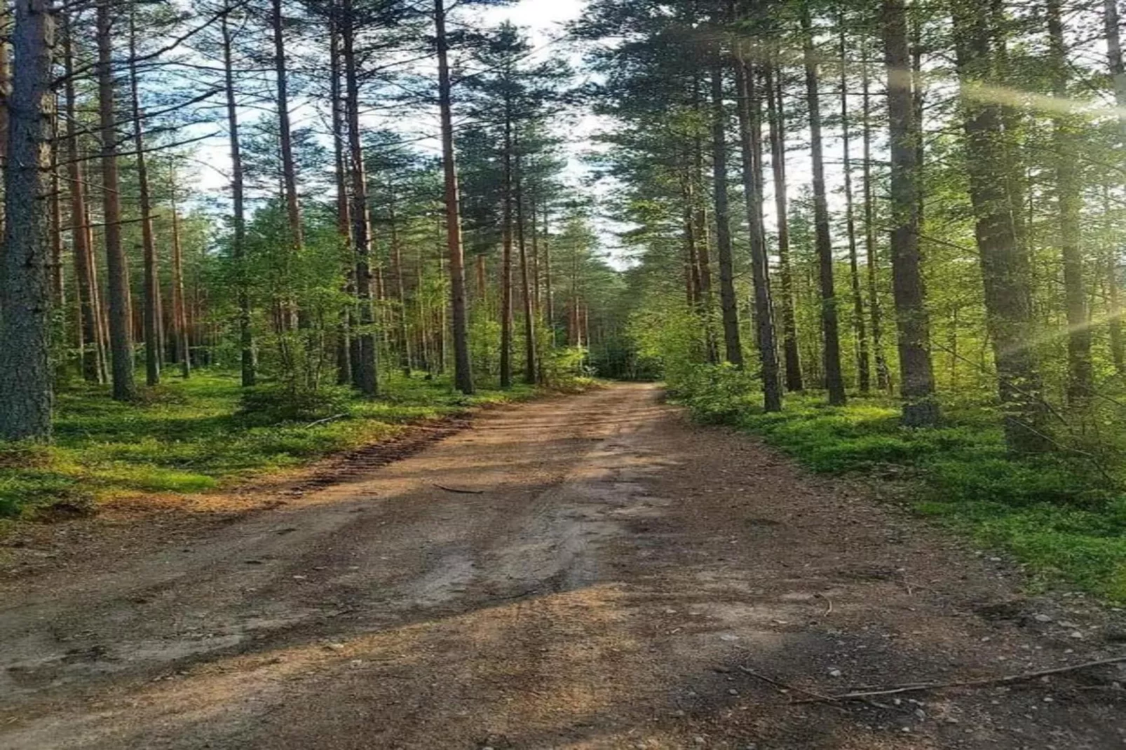 Värmlands Sjö och Fjäll Camping 14-Gebieden zomer 20km