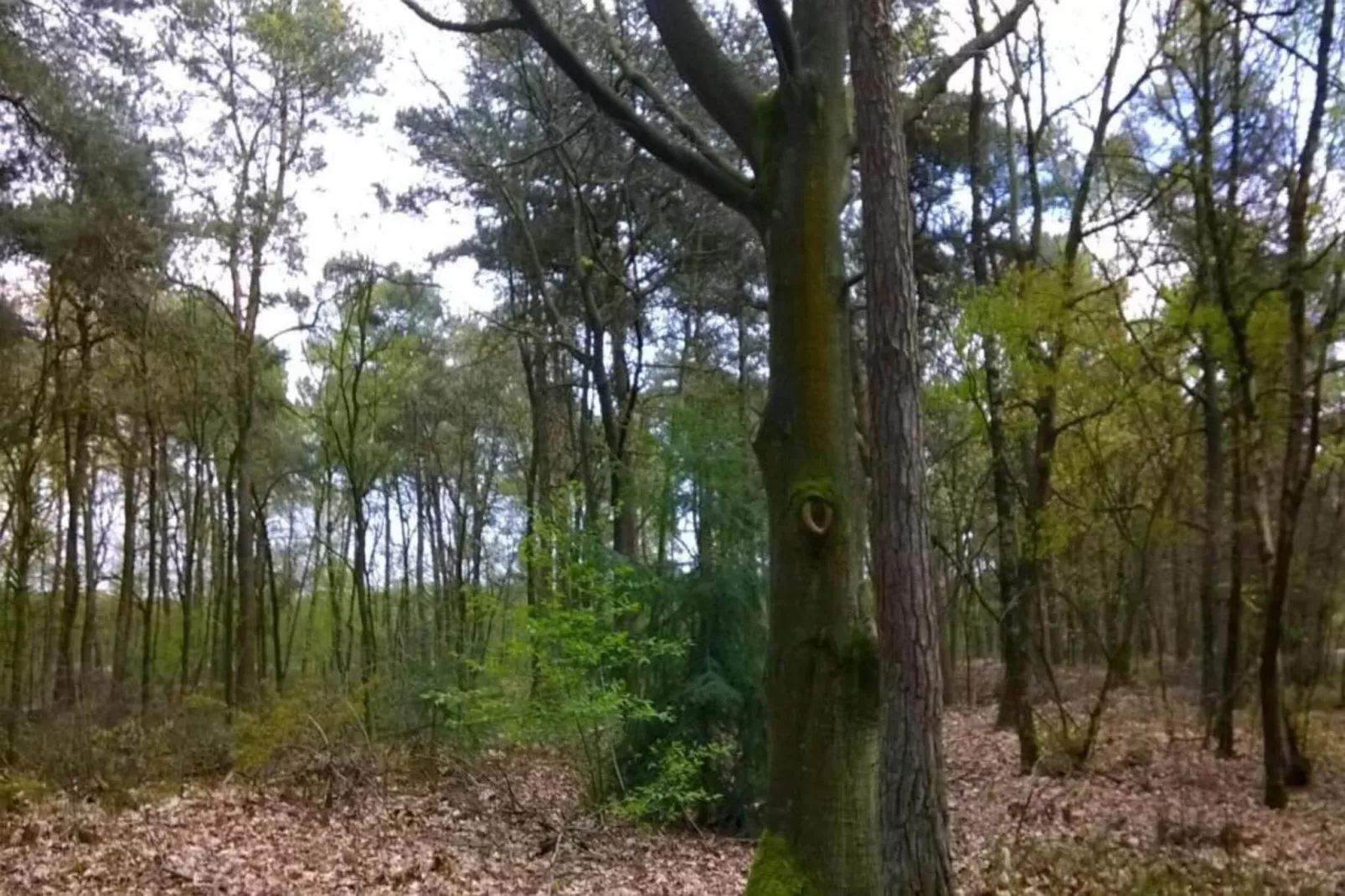 Parc de Kievit 17-Gebieden zomer 20km