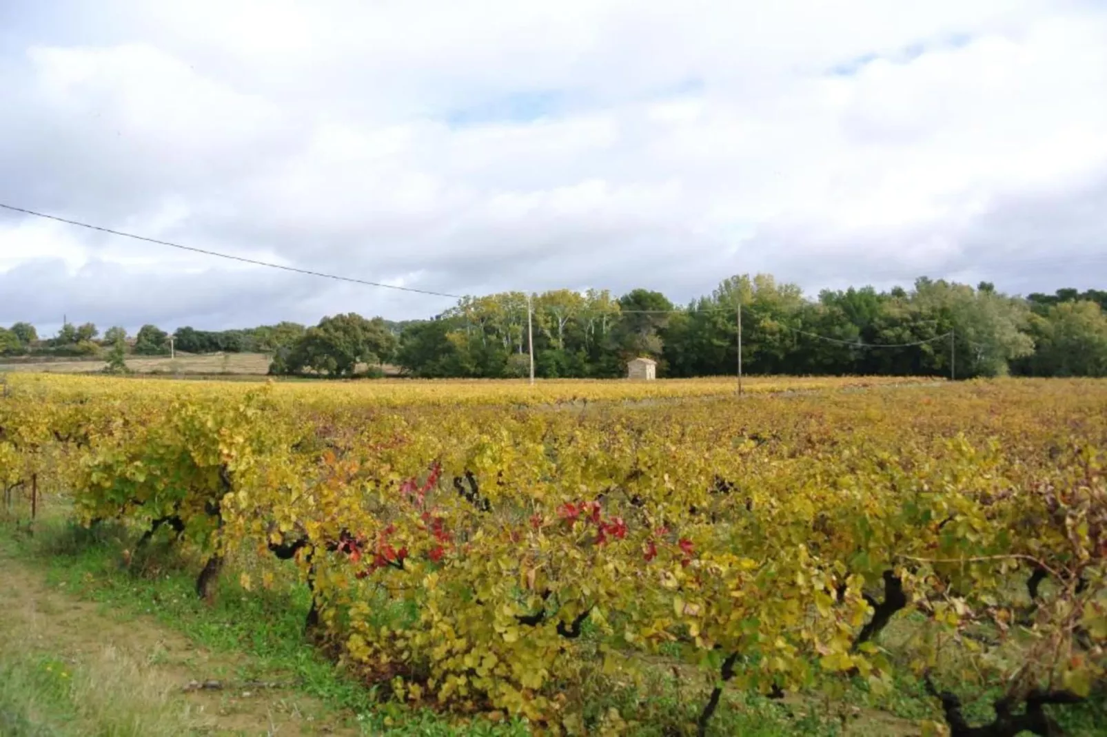 La Queue du Loup-Gebieden zomer 20km