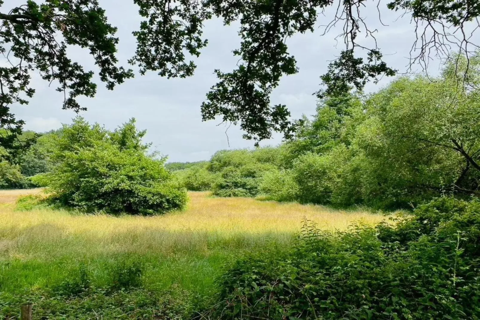 Buitenplaats Gerner 7-Gebieden zomer 20km