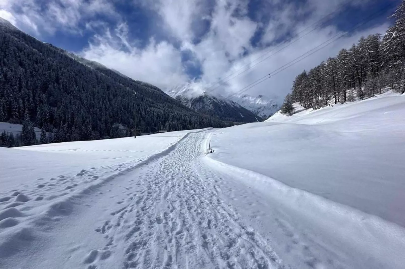 Haus Carnot - Apartment EG-Gebied winter 5km