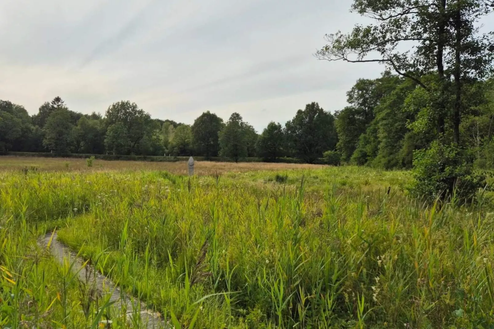 4 persoons vakantie huis in Hovborg-By Traum-Niet-getagd