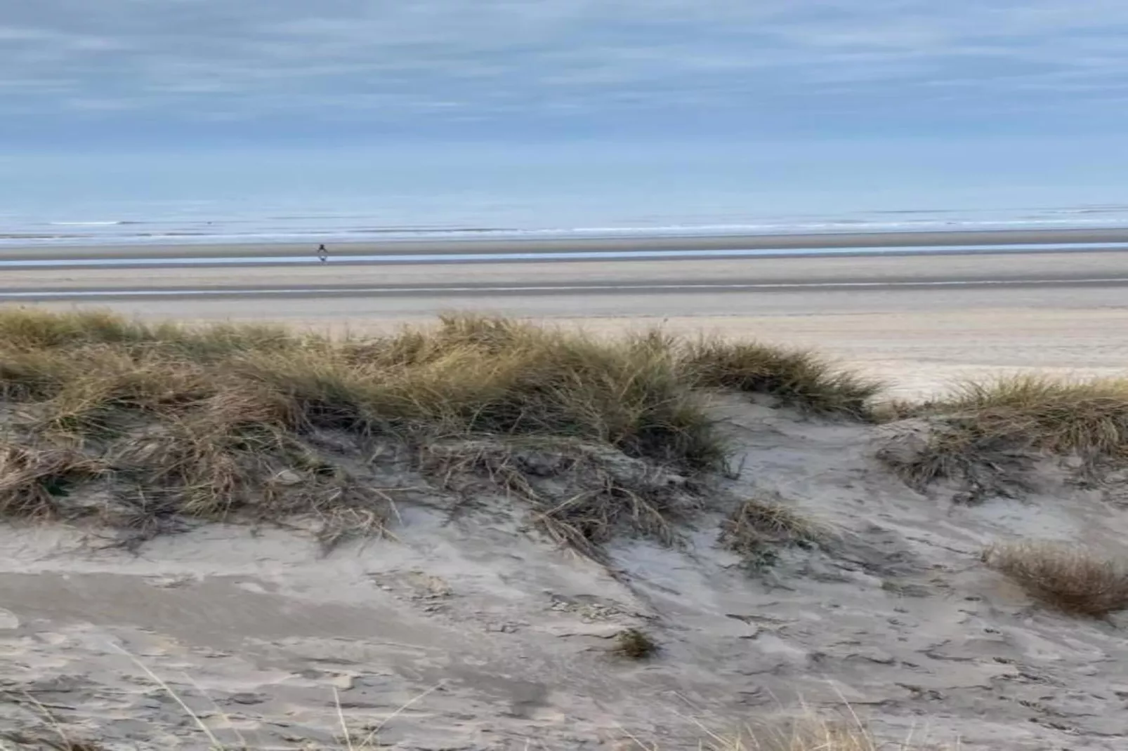 Neptune GV02-Gebieden zomer 1km