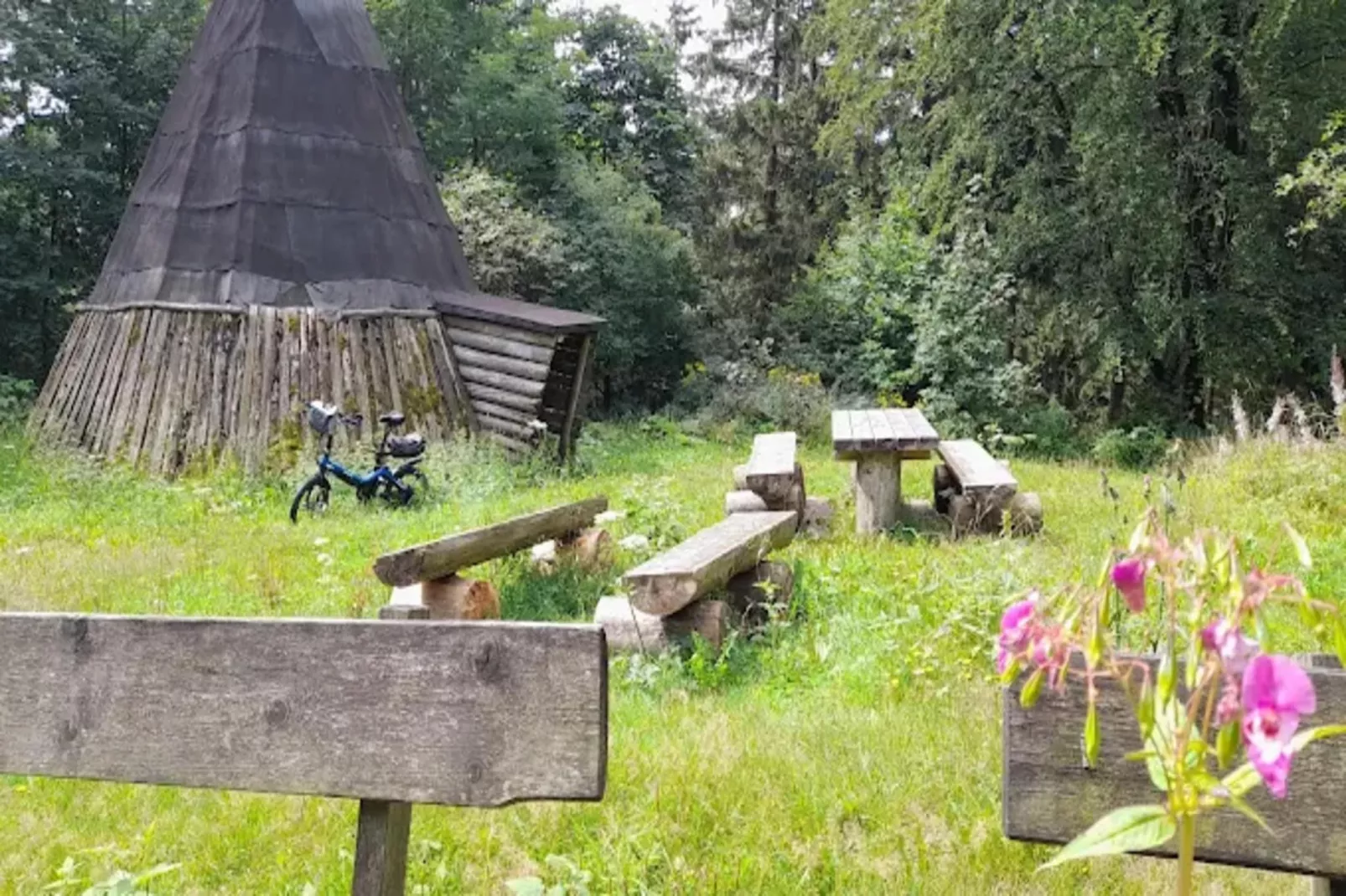 Ferienapartment Frosch in Wildemann Harz-Gebieden zomer 5km