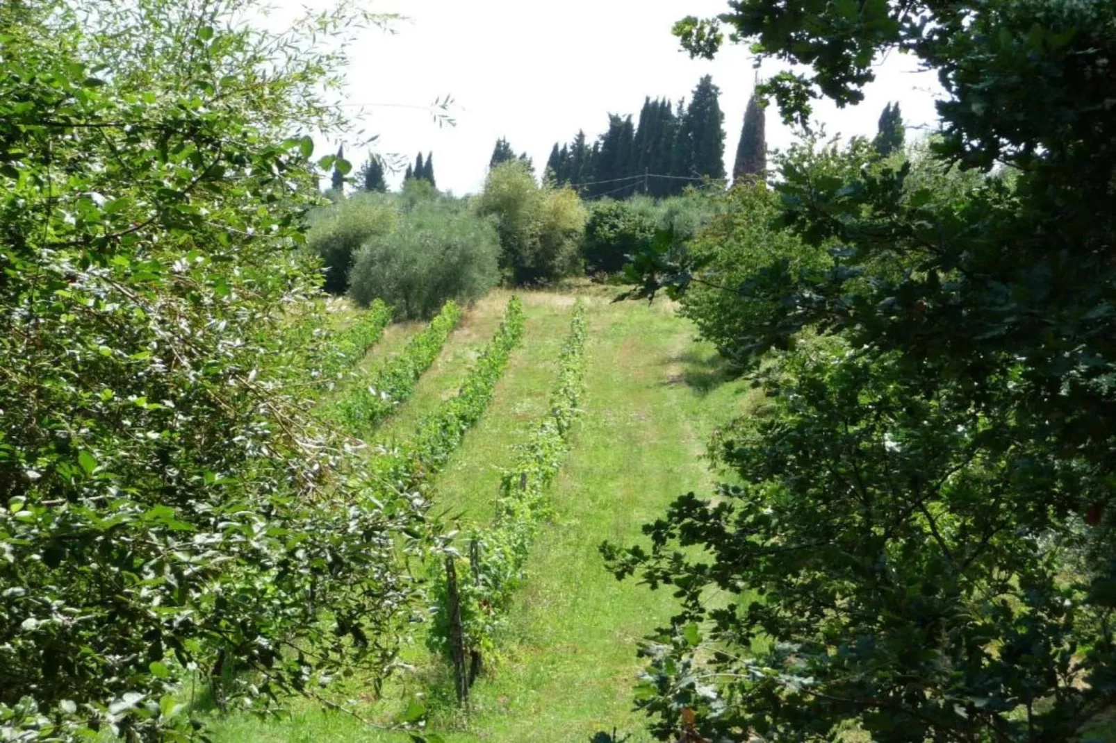 Villa Alice Otto-Gebieden zomer 5km