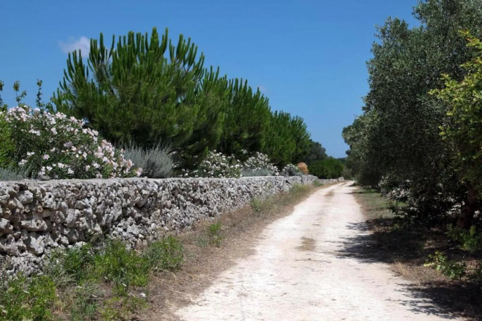 Appartamento Martina Franca - Centro Storico-Gebieden zomer 20km
