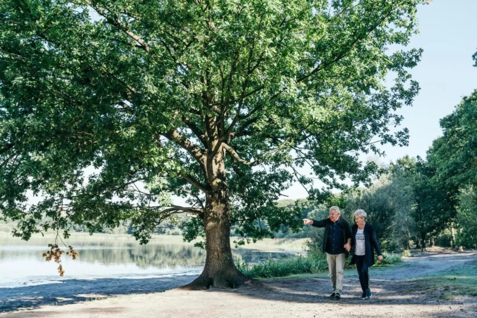 Vakantiepark Latour 5-Gebieden zomer 20km