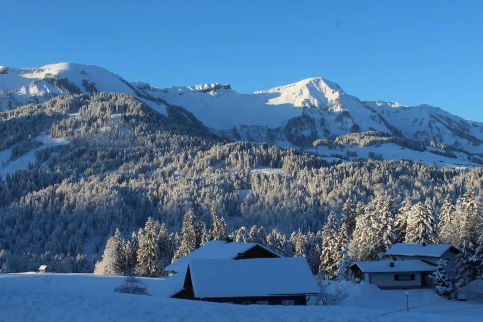 Apartment 3-Gebied winter 20km