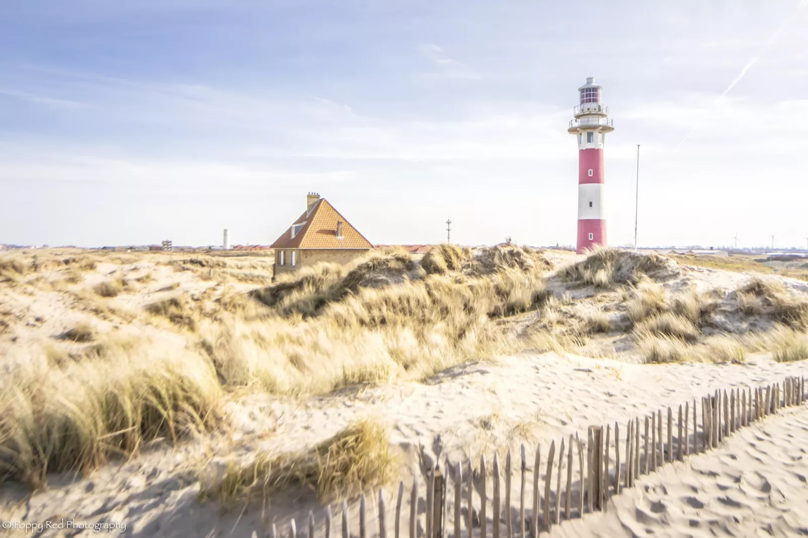 SEAGULL 602-Gebieden zomer 5km