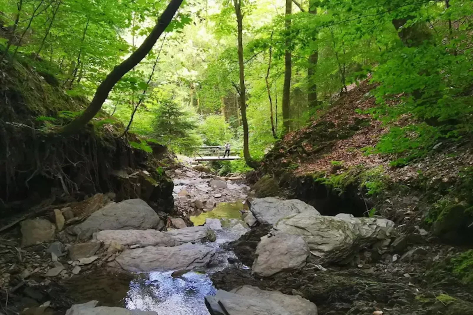 Auszeit Winterberg-Gebieden zomer 5km