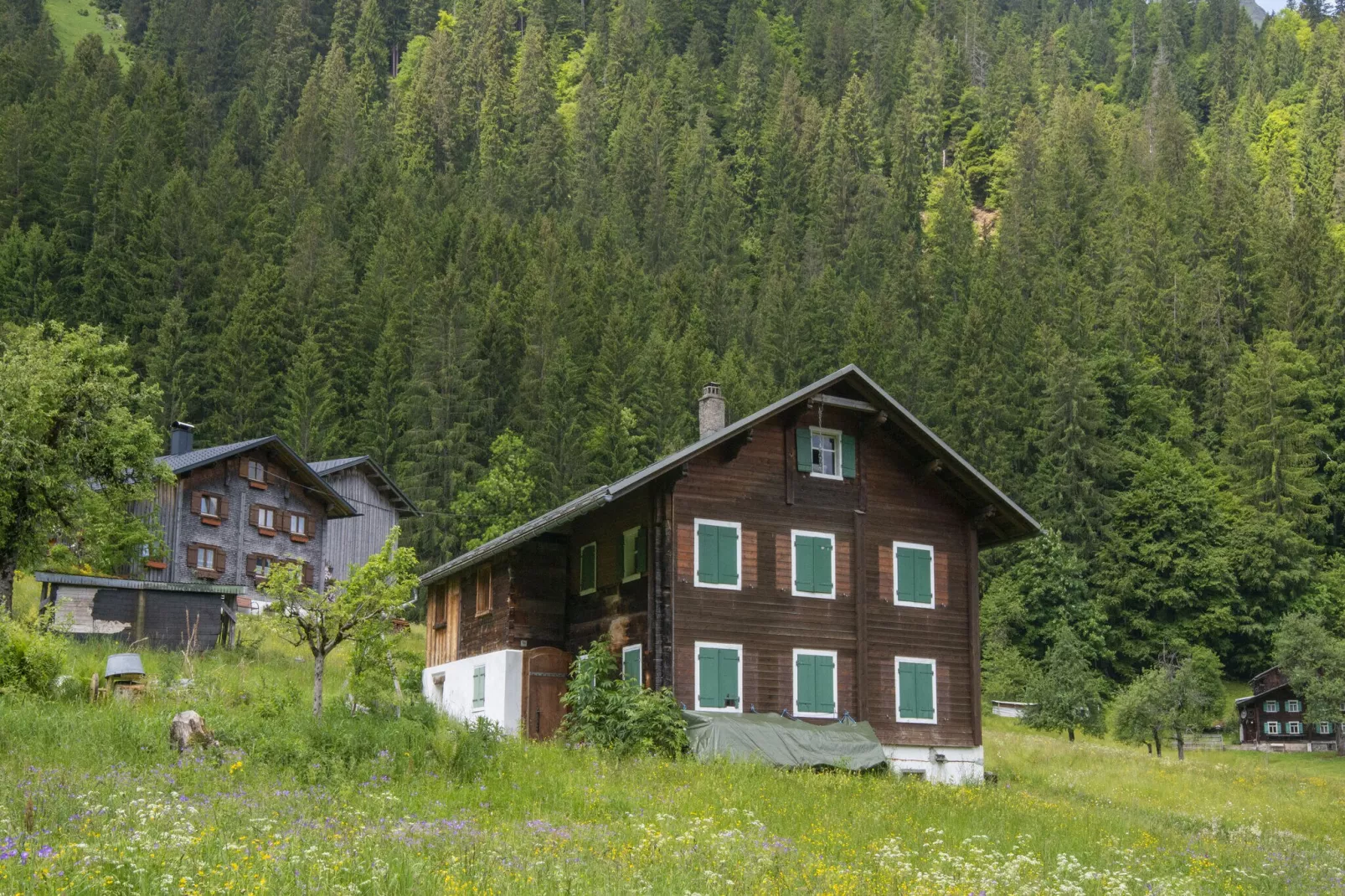 Haus Lukan Groß-Buitenkant zomer