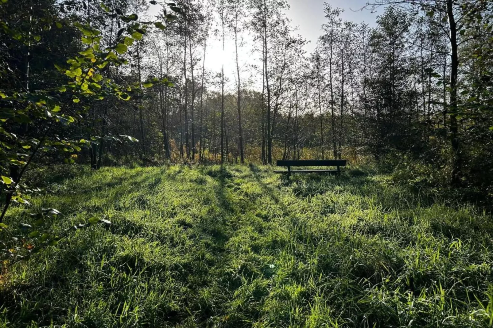 Huisje 'In de Tuin' A en B-Gebieden zomer 20km