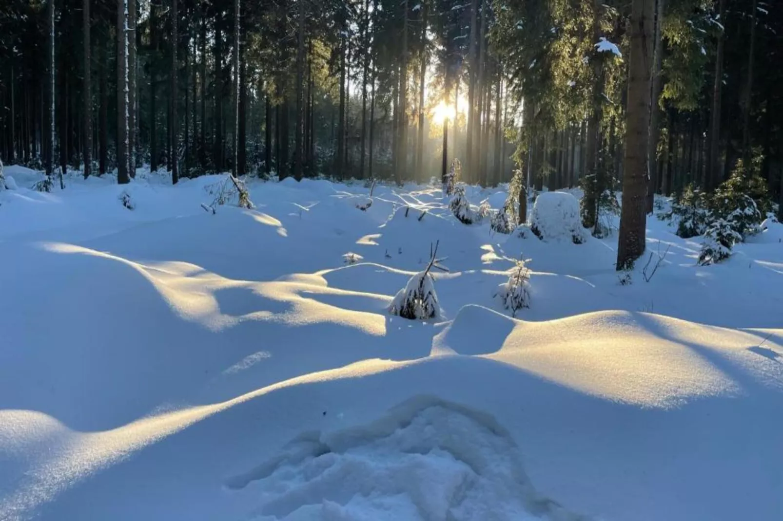 Hanoi Haus-Gebied winter 20km