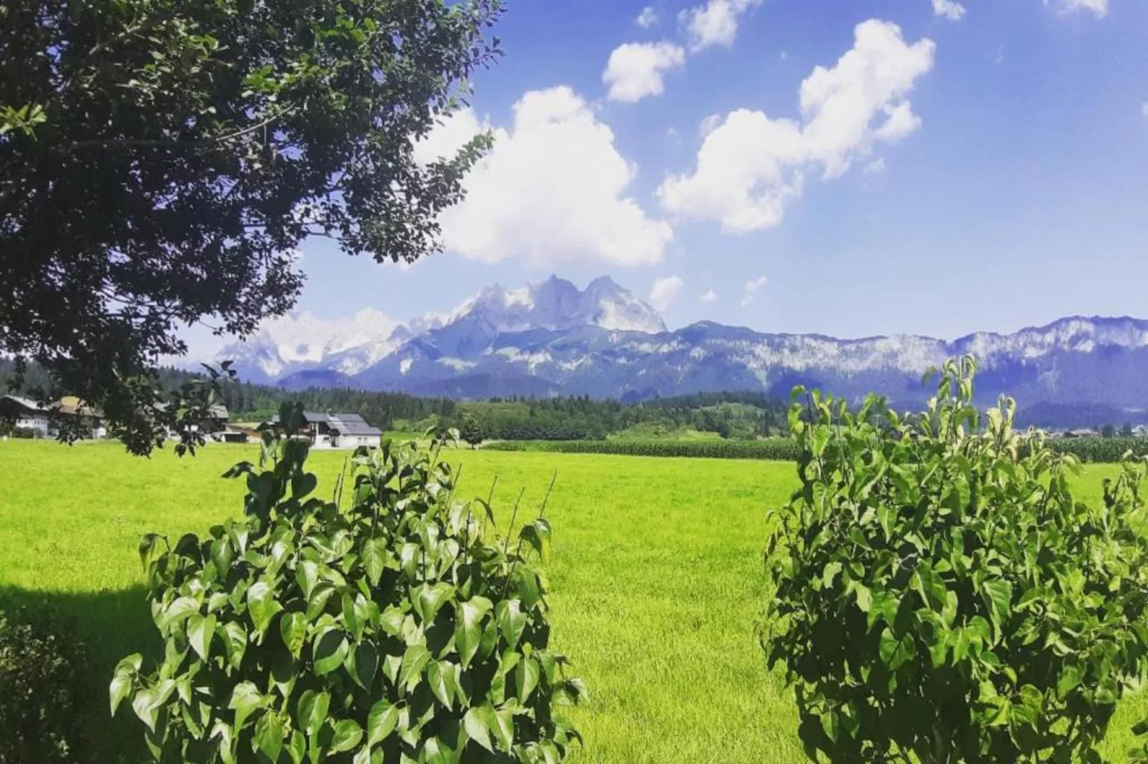 Haus Leßner TOP 1-Gebieden zomer 20km