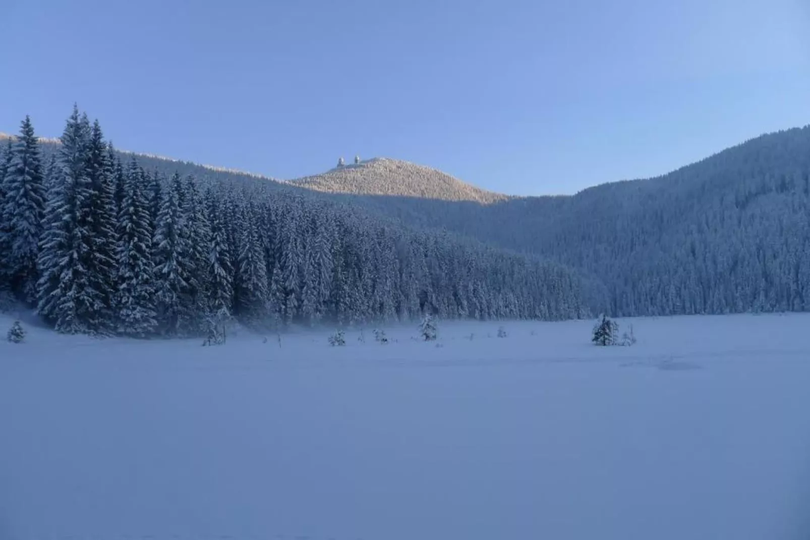 Schönes Holzhaus Arberblick-Gebied winter 20km