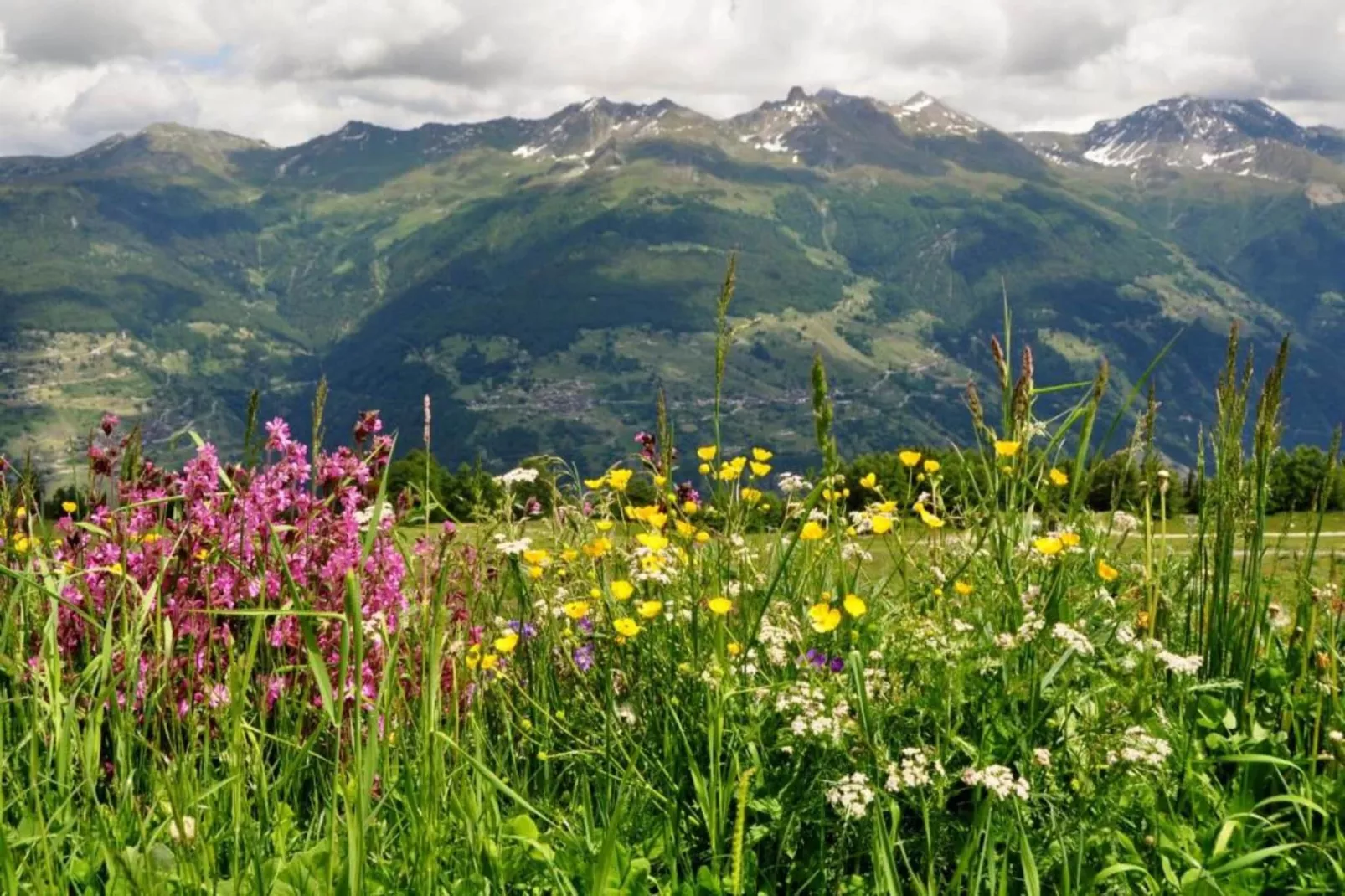 Mayens de l'Ours CZ 031 - MOUNTAIN apartment 6 per-Gebieden zomer 5km