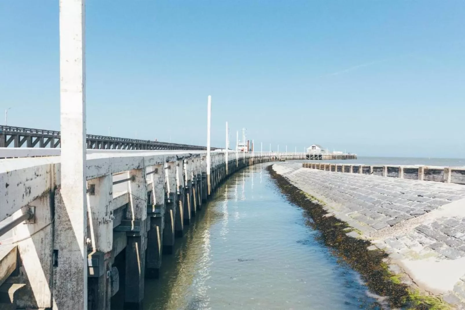 ALBATROS - 7A-Gebieden zomer 1km