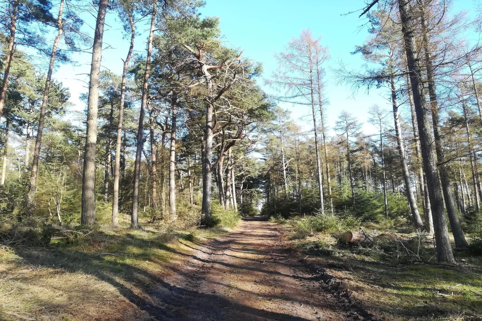 4 persoons vakantie huis in Gedser