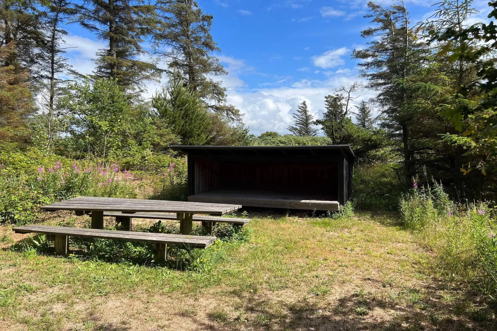 6 persoons vakantie huis in Vemb