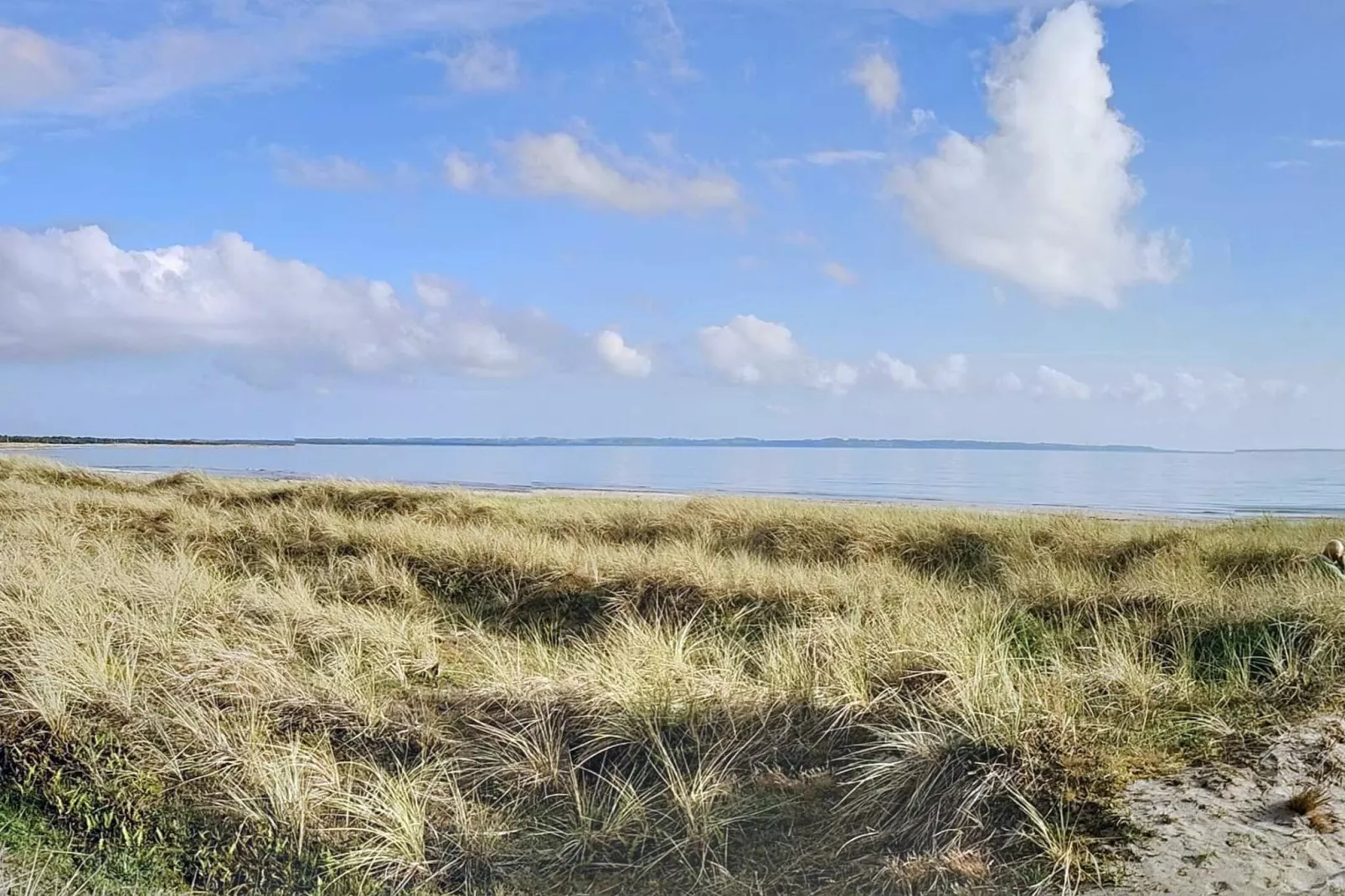 6 persoons vakantie huis in Højby