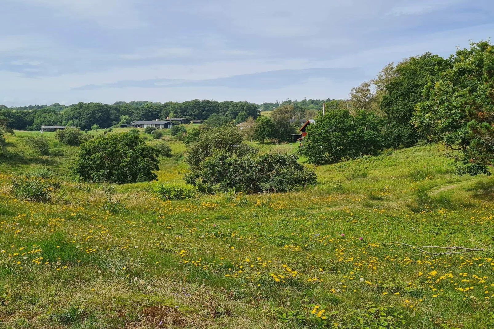 8 persoons vakantie huis in Knebel