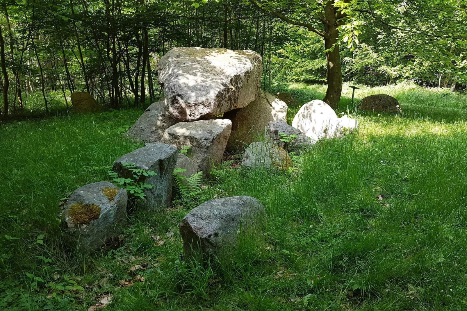 Kustcharme in Boged-By Traum