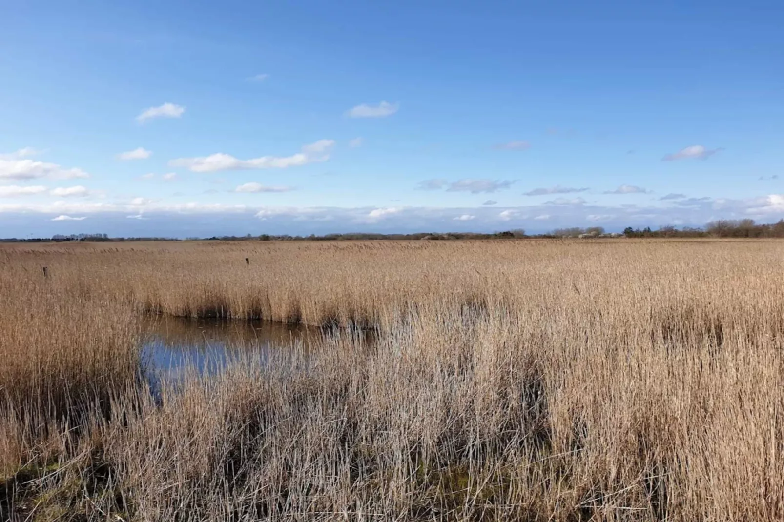 5 persoons vakantie huis in Otterup-Niet-getagd