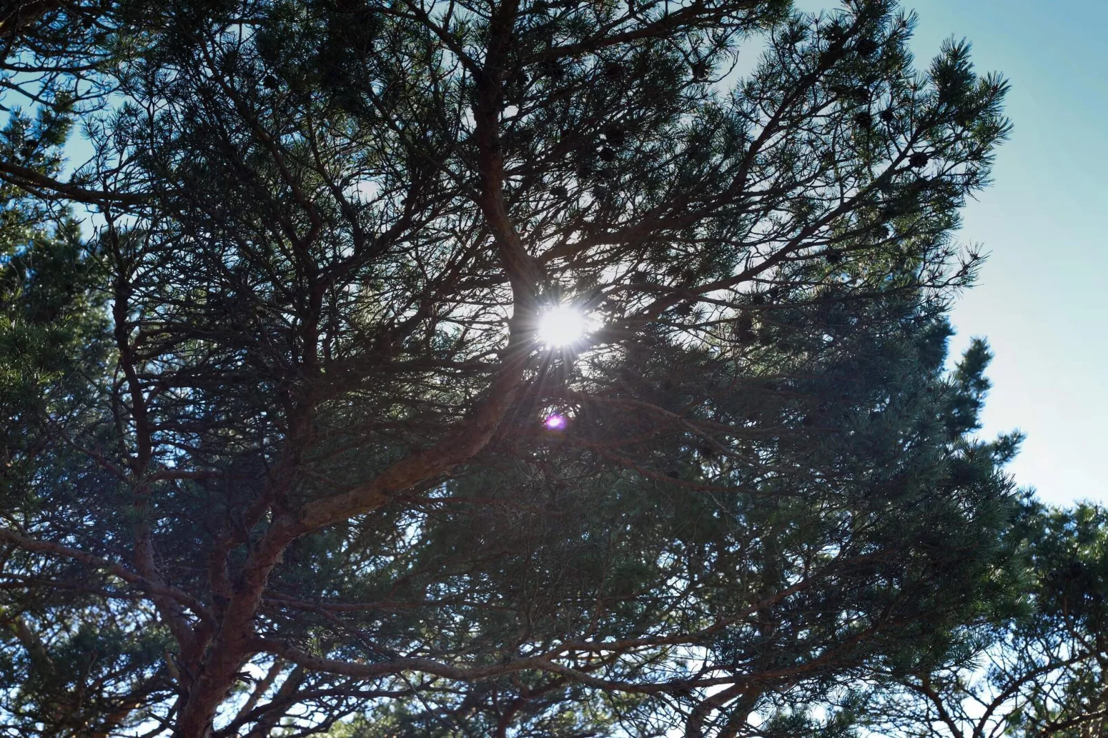 4 persoons vakantie huis in STRÖMSTAD-Niet-getagd