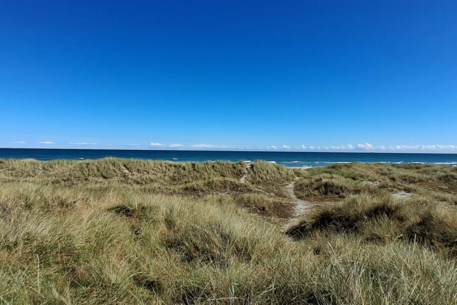 Idyllisch strandverblijf in Albaek-Niet-getagd