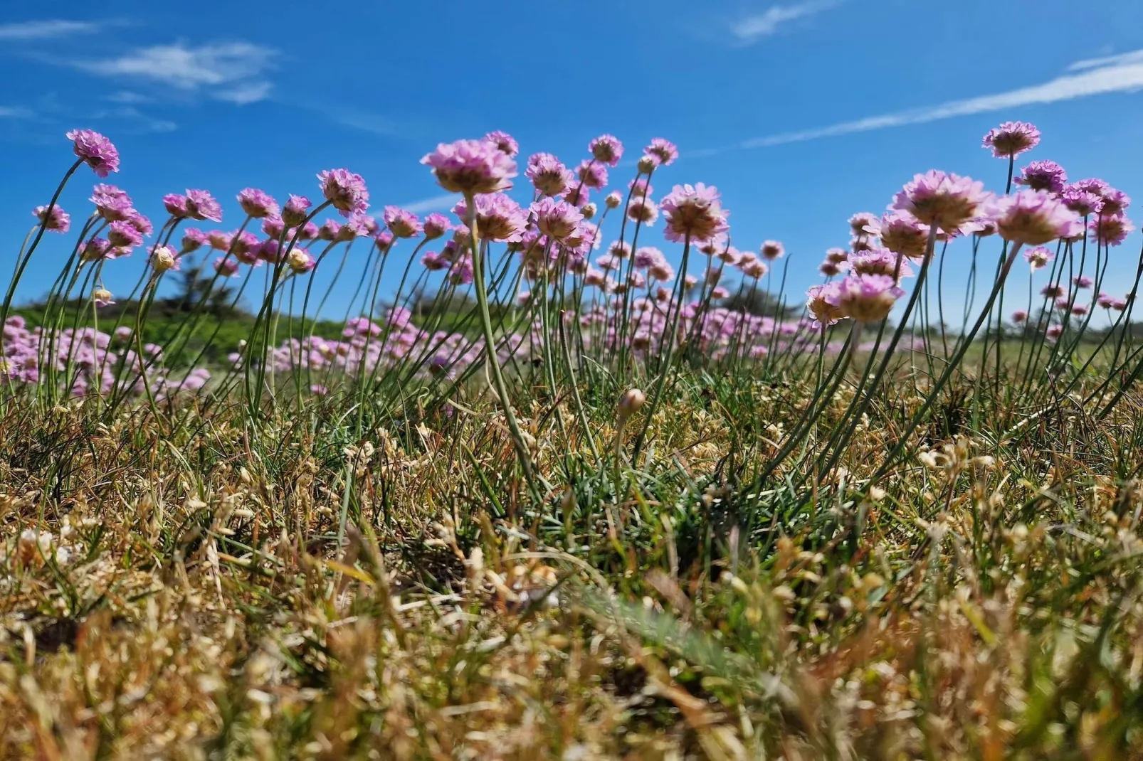 Rustieke toevluchtsoord in Klitmoller-By Traum-Niet-getagd