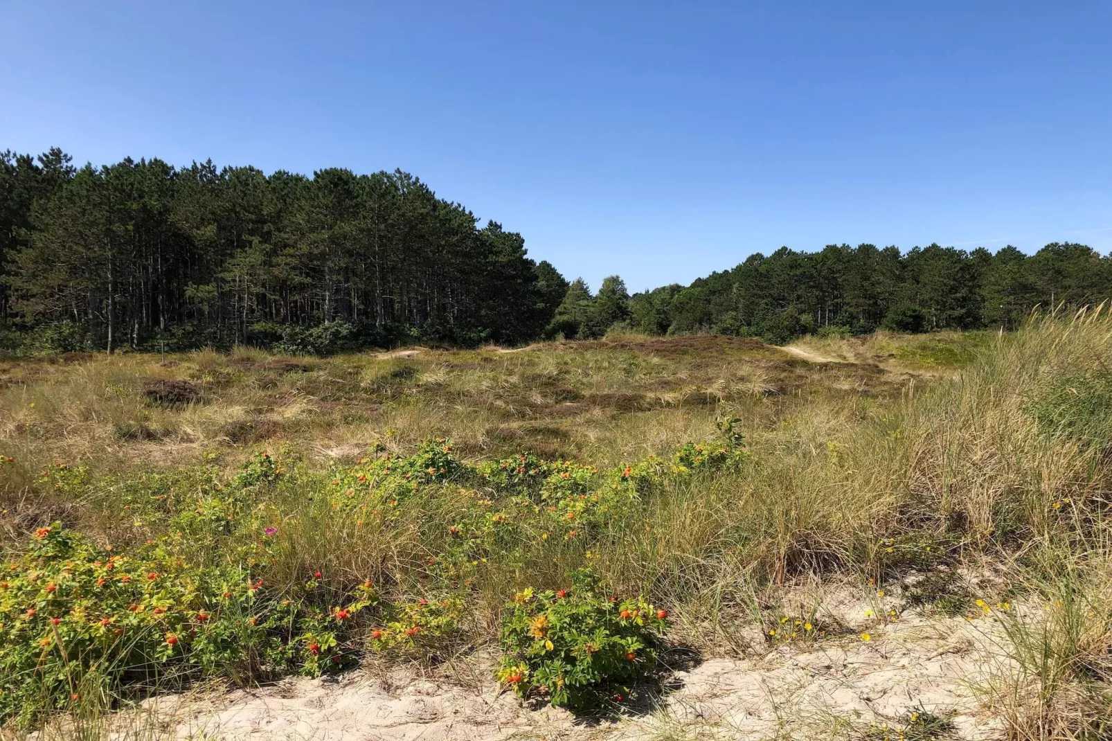 7 persoons vakantie huis in Grenaa