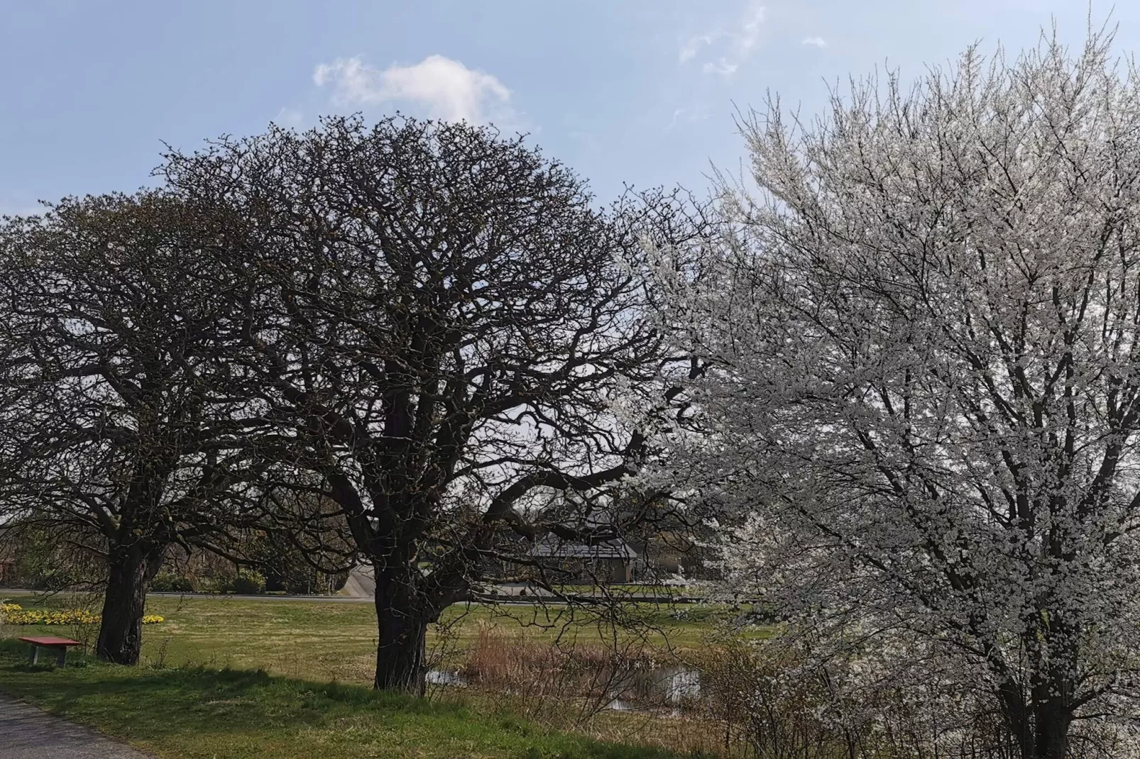 5 persoons vakantie huis in Holeby