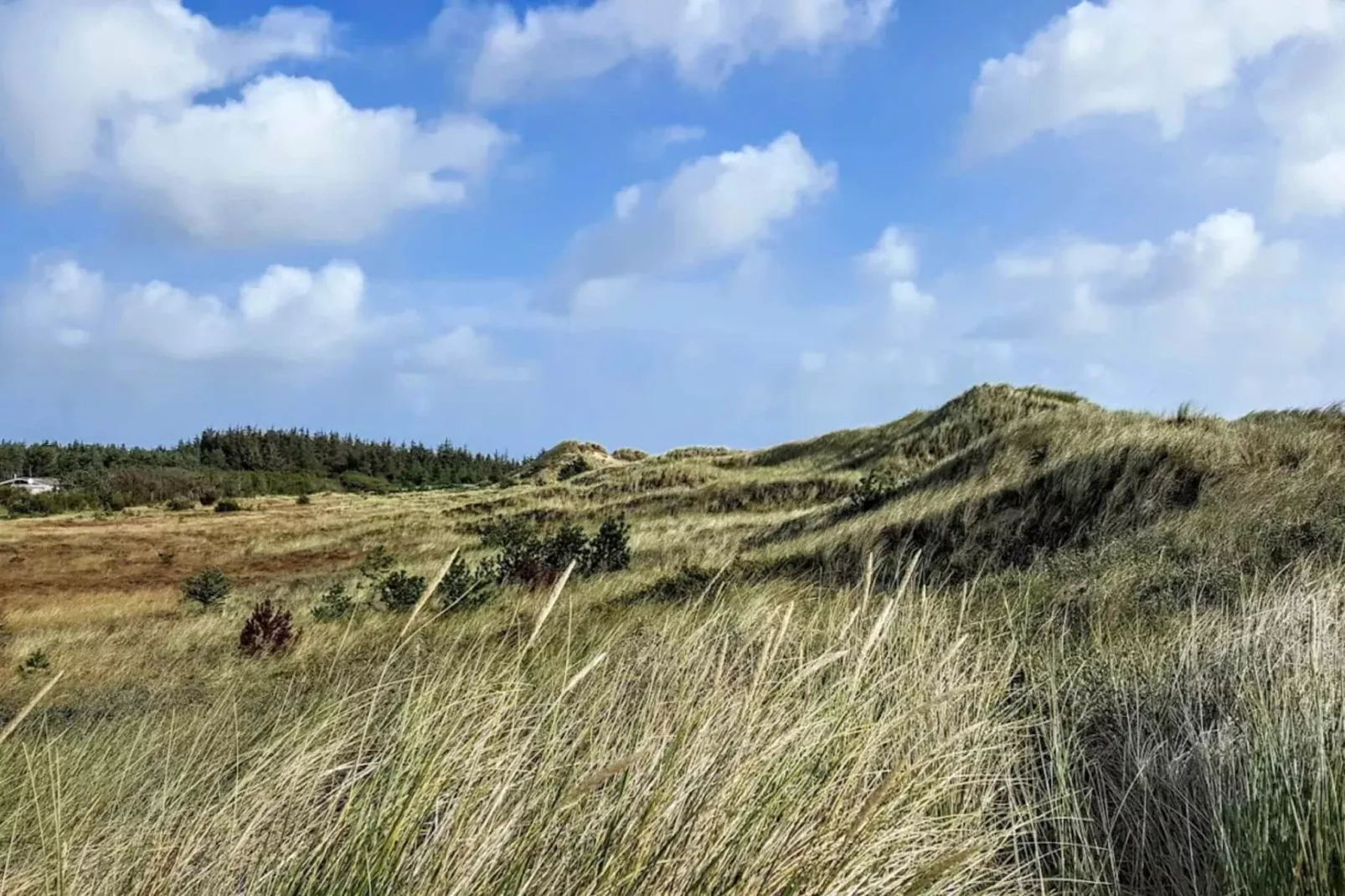 6 persoons vakantie huis in Ålbæk-Niet-getagd