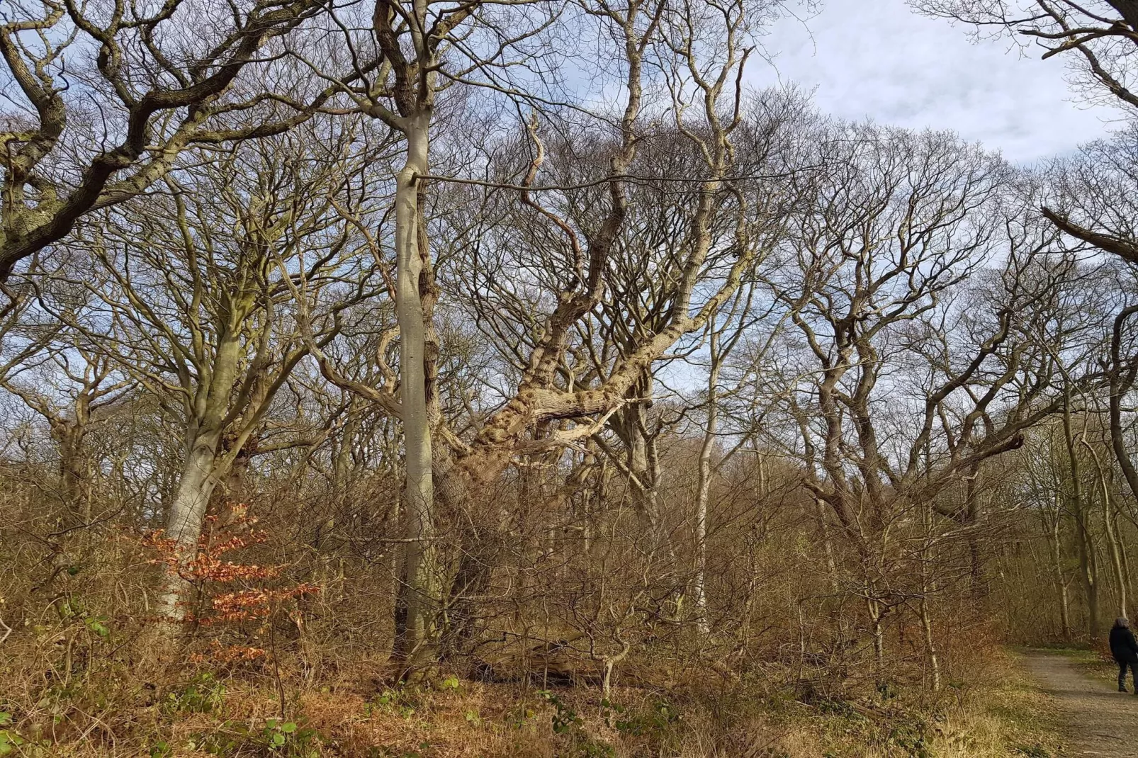 Kustparadijs in Stoense-By Traum-Niet-getagd