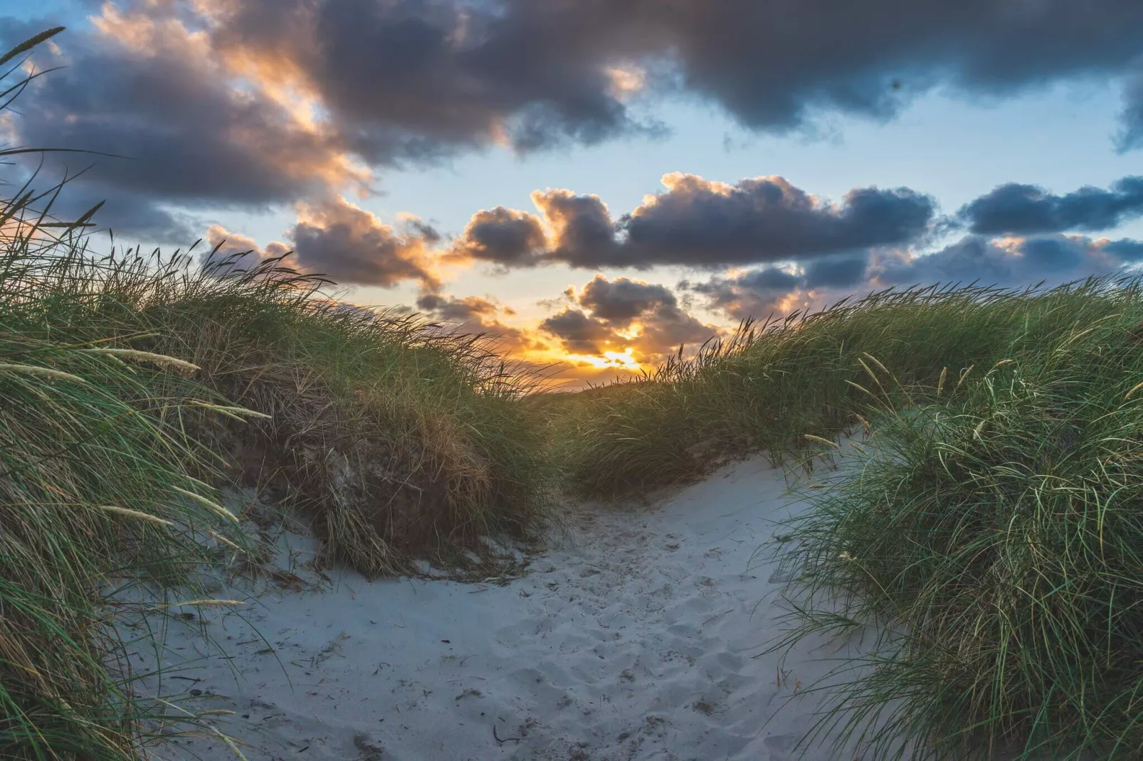 Kustsereniteit in Bjerregard-By Traum